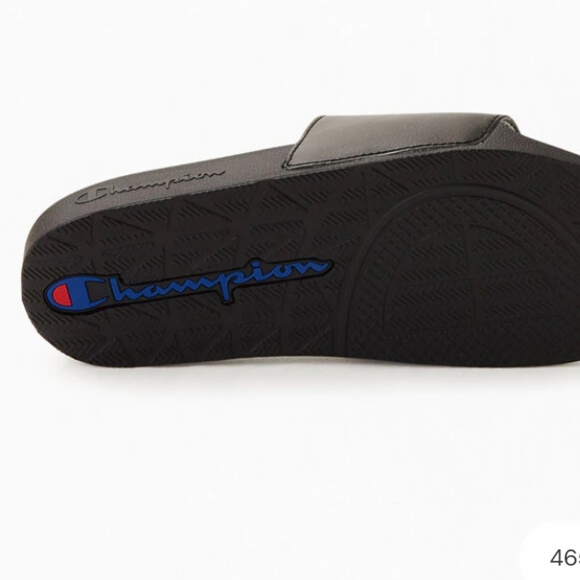 Champion Slides - Picture 5 of 6
